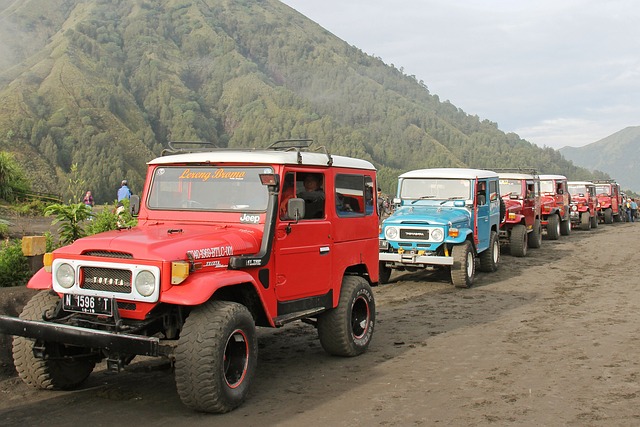 Gowisata-Jasa Travel Gunung Bromo untuk Liburan Nyaman dan Aman